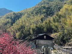 -MOJ coffee(瓯海泽雅水碓坑店)