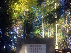 -井冈山风景名胜区-黄洋界