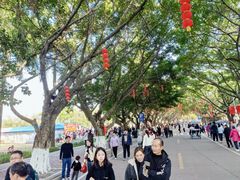 -南沙天后宫景区