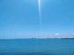-东郊椰林
