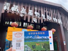 -青藏高原野生动物园