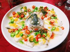 招牌青青椒麻蒸鱼-舒味姜母鸭·沙茶面(湖里店)