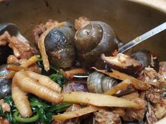 -食爺炭炉鸡煲·烧烤