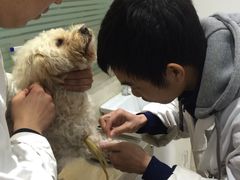 -暖阳宠物医院·犬猫康复中心·骨科