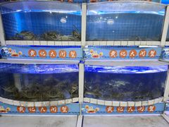-黄记大闸蟹专卖店·活蟹·醉蟹