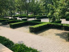 -绿堤公园