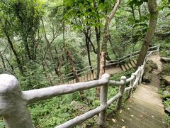 -西安祥峪森林公园