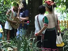 -呀路古热带植物园-恐龙馆