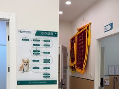 -瑞派康怡24h宠物医院·犬猫医疗中心·微创绝育(瑞景分院)