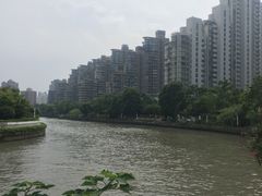 -新湖明珠城