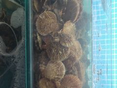 -同道蒸汽海鲜烧烤自助(刘庄夜市店)