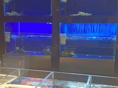 -顺风江南宴(静安大融城店)