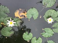 -苏州文旅花间堂·探花府酒店