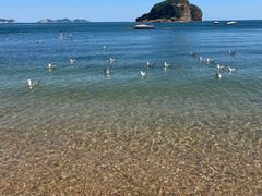 -棒棰岛宾馆景区