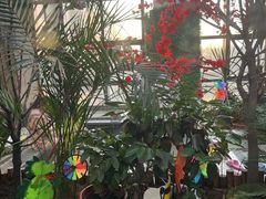 -悦隆庄温泉度假酒店