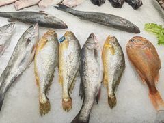 -郑庄脂渣海鲜楼(九水路店)