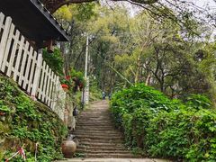 -南山植物园