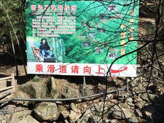 -藏龙百瀑风景区