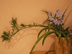 -绣园·茶食宴(湘绣博物馆店)