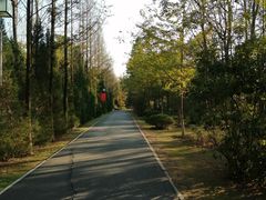 -合肥三国新城遗址公园