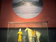 -陕西自然博物馆