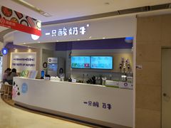 -一只酸奶牛(时代天街A馆店)