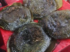 -金香缘正宗阳朔啤酒鱼菜馆(尚水美食街店)