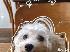 -肥朵食堂(带梦胡同店)