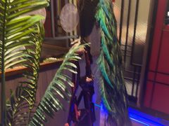 -柴火大院烤鸭民间菜