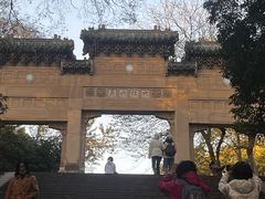 -灵谷景区