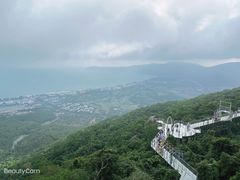 -三亚亚龙湾人间天堂鸟巢度假村
