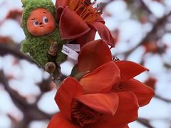 -芬芳甜品(东风西路店)