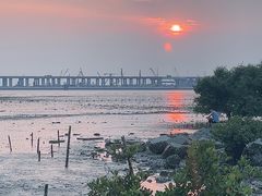 -宝安西湾红树林湿地公园