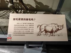 -大庆市博物馆