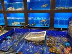 水产区-金时代顺风大酒店(临港百联店)