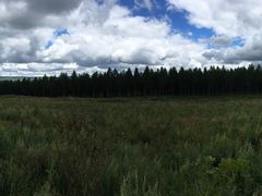 -塞罕坝国家级自然保护区