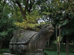 -灵谷景区