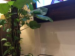 -Patek Philippe百达翡丽(上海源邸店)