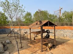 -济南野生动物世界