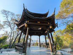-金鸡山公园