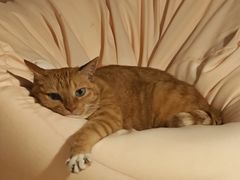 -吴山烤禽 (吴山路店)