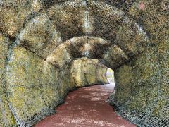 -北海金海湾红树林生态旅游区