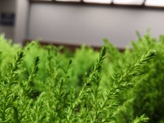 -鹿岛会员店 (龙湖三千集天街店)