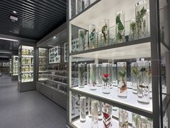 -北京中医药大学-中医药博物馆