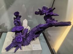 -中国地质博物馆