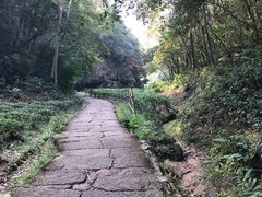 -武夷山风景名胜区-虎啸岩