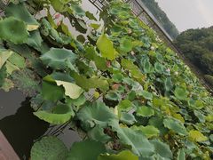 -衡阳市南湖景区-南湖水上乐园