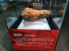 -湖南省地质博物馆