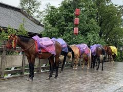 -天龙八部武侠城