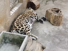 -西安秦岭野生动物园